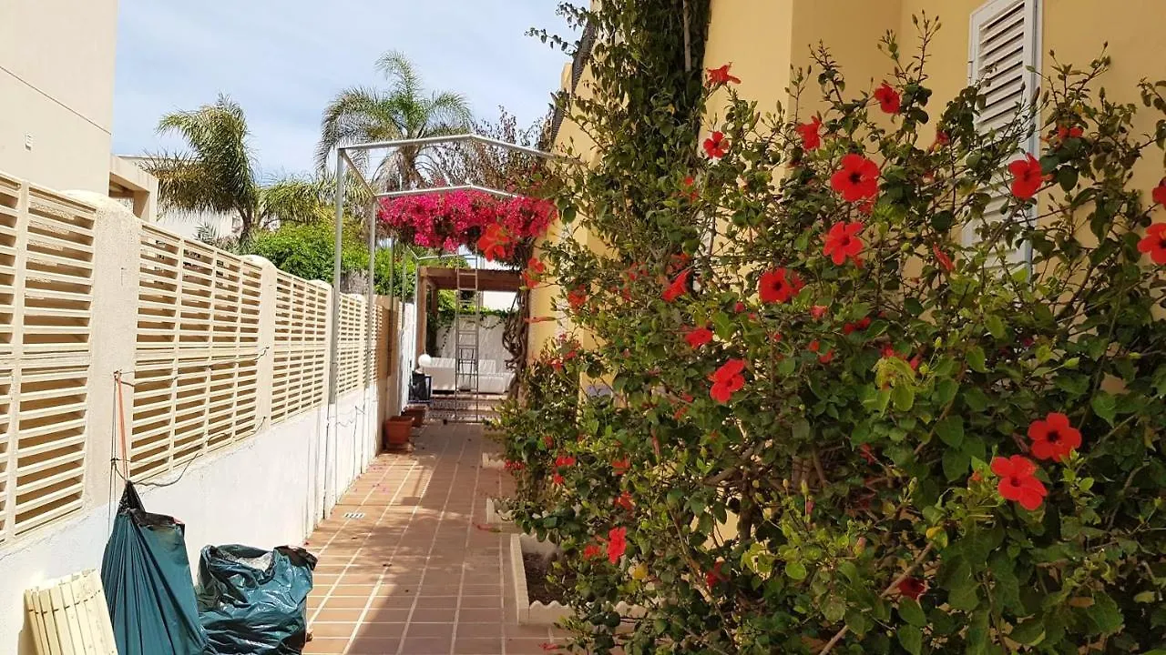 Spacious House With Private Pool In Vera, 420 Sqm 0*, ベラ